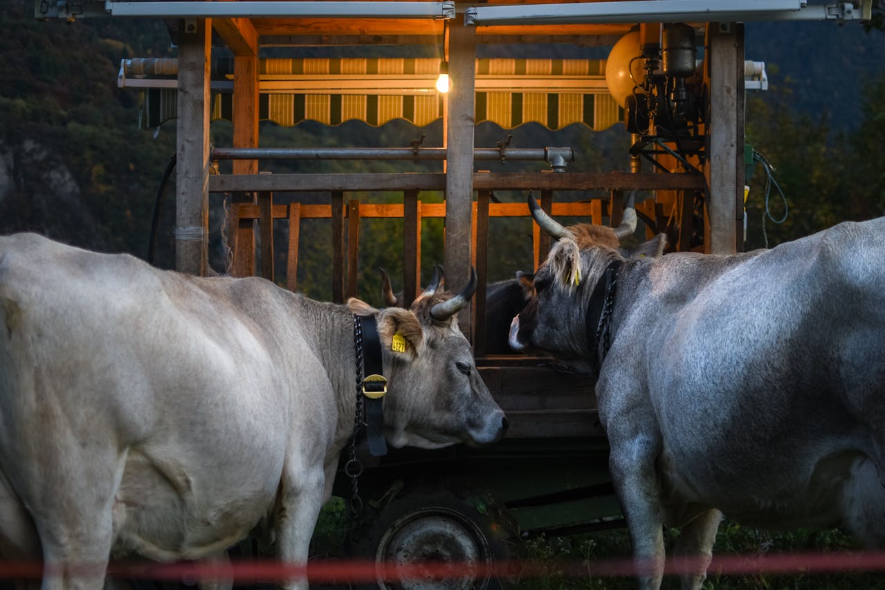Waar woont boer Roel uit Boer Zoekt Vrouw