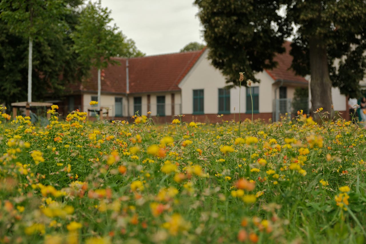 De woonplaats van Volkert van der Graaf