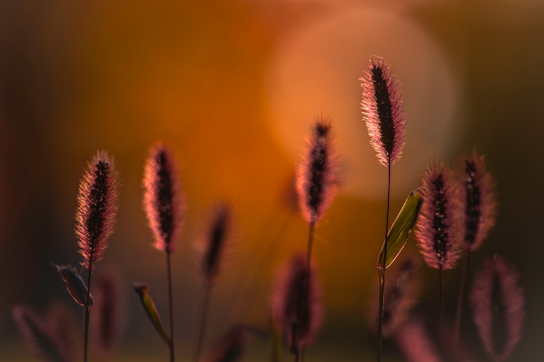 Pittige korte kapsels na je vijftigste: stijlvol en fris in elk seizoen