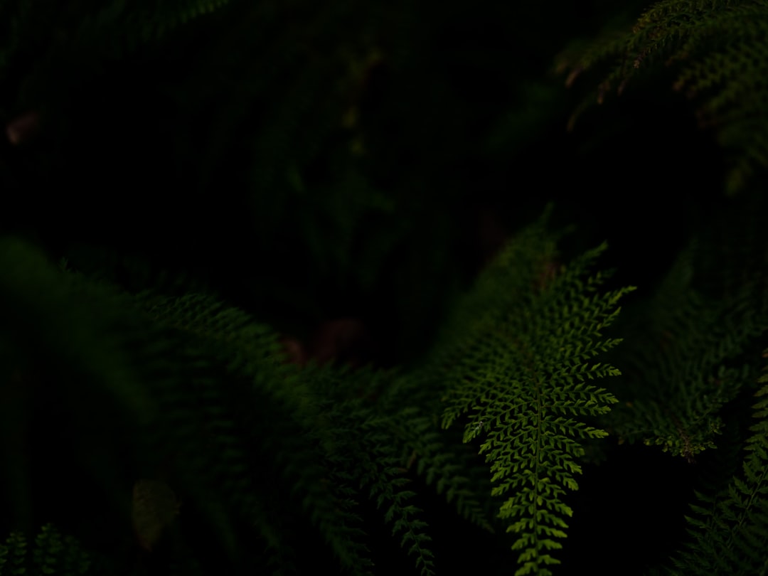 Strakke muren en plafonds met gipsplaten stucen