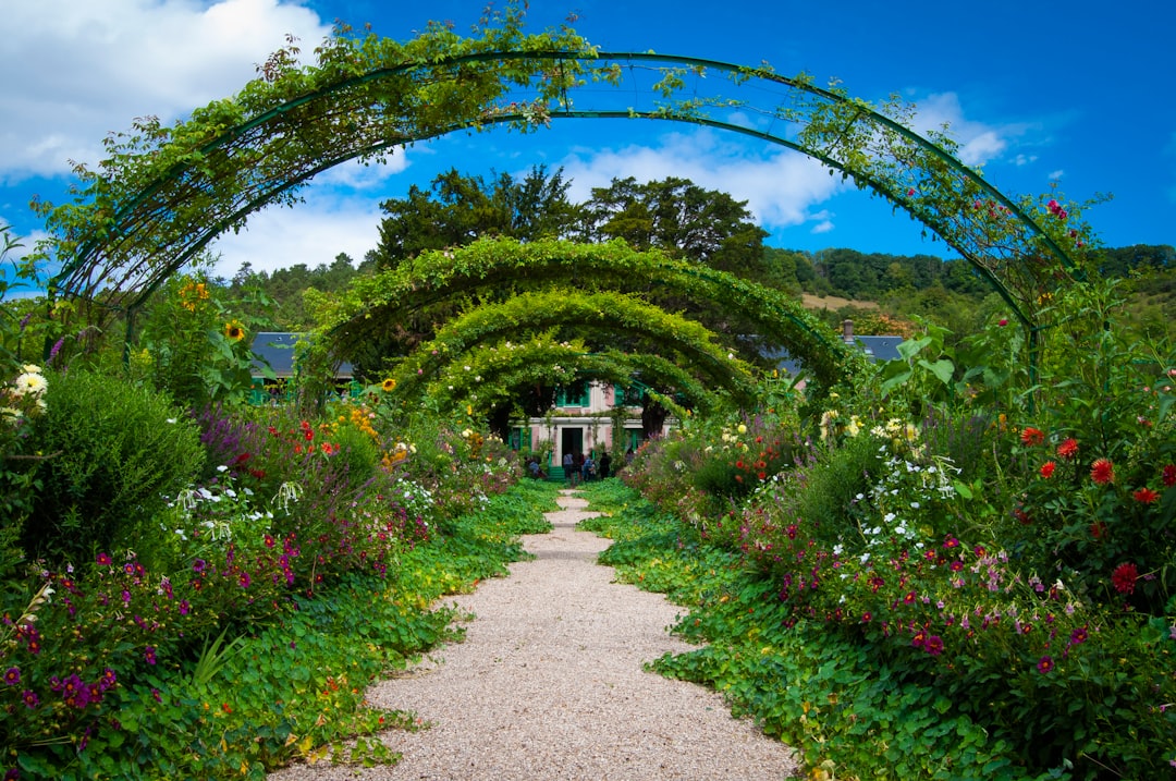 Tuinplanten: alles wat je wilt weten voor een mooie tuin